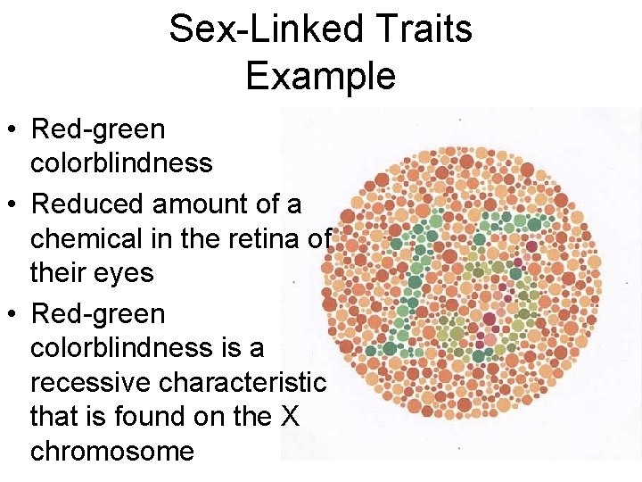 Sex-Linked Traits Example • Red-green colorblindness • Reduced amount of a chemical in the