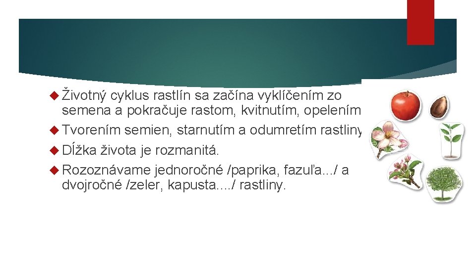  Životný cyklus rastlín sa začína vyklíčením zo semena a pokračuje rastom, kvitnutím, opelením.