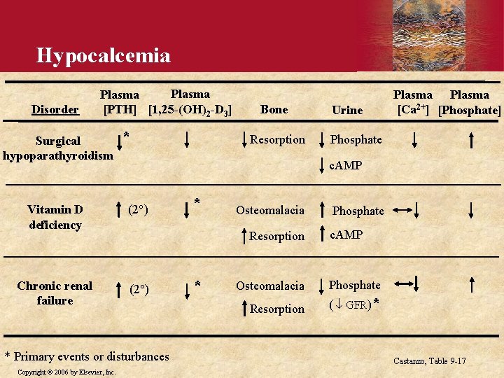 Hypocalcemia Disorder Plasma [PTH] [1, 25 -(OH)2 -D 3] Surgical hypoparathyroidism * Resorption Urine