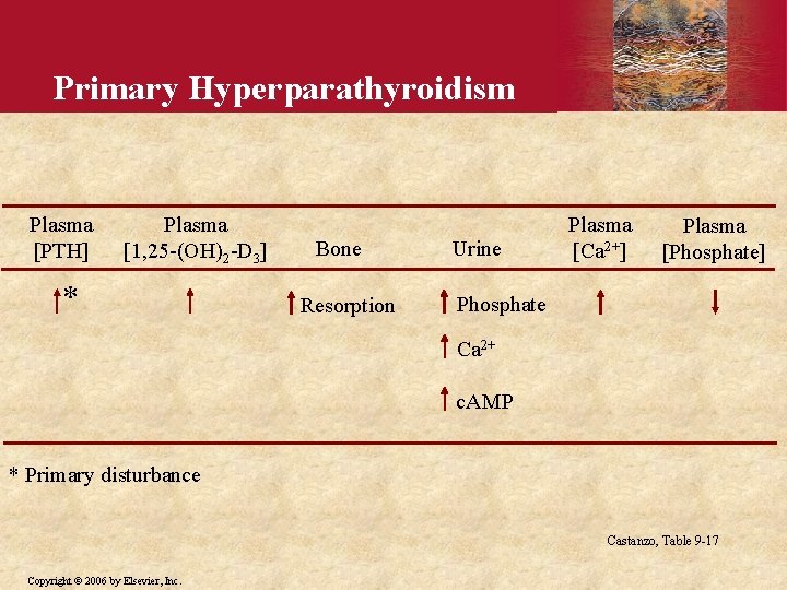 Primary Hyperparathyroidism Plasma [PTH] Plasma [1, 25 -(OH)2 -D 3] * Bone Resorption Urine