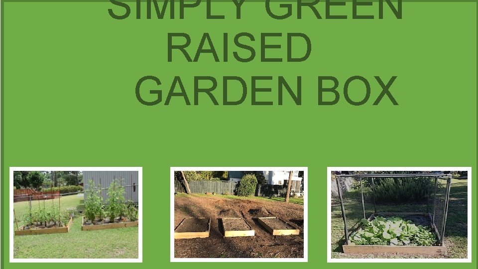 SIMPLY GREEN RAISED GARDEN BOX 