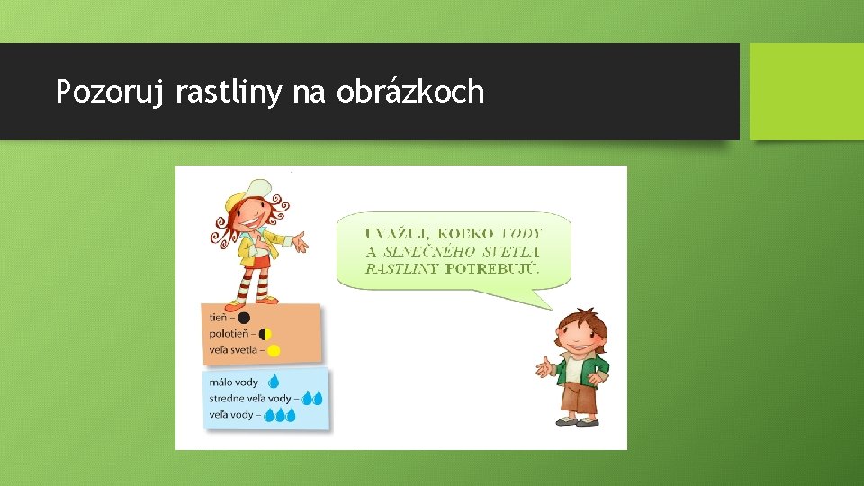 Pozoruj rastliny na obrázkoch 