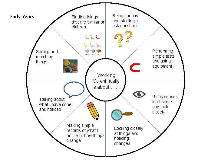 Early Years Finding things that are similar or different Being curious and starting to