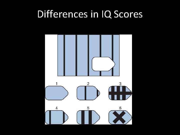 Differences in IQ Scores 