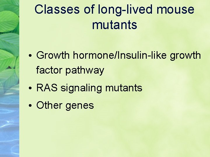 Classes of long-lived mouse mutants • Growth hormone/Insulin-like growth factor pathway • RAS signaling