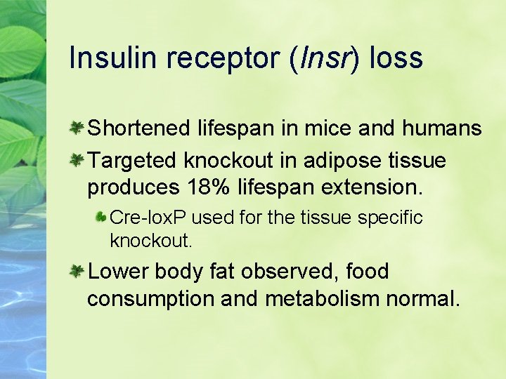 Insulin receptor (Insr) loss Shortened lifespan in mice and humans Targeted knockout in adipose