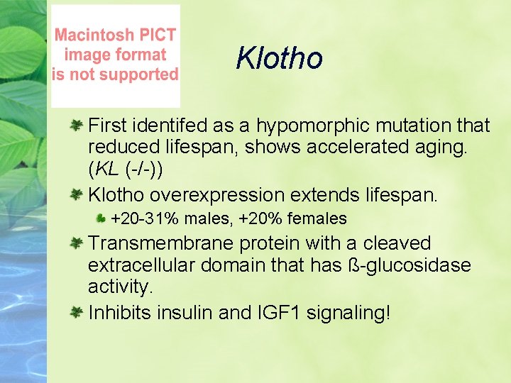 Klotho First identifed as a hypomorphic mutation that reduced lifespan, shows accelerated aging. (KL