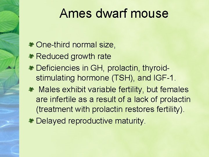 Ames dwarf mouse One-third normal size, Reduced growth rate Deficiencies in GH, prolactin, thyroidstimulating