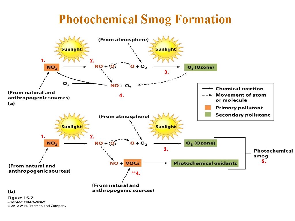 Photochemical Smog Formation 1. 2. 3. 4. 1. 2. 3. 5. **4. 