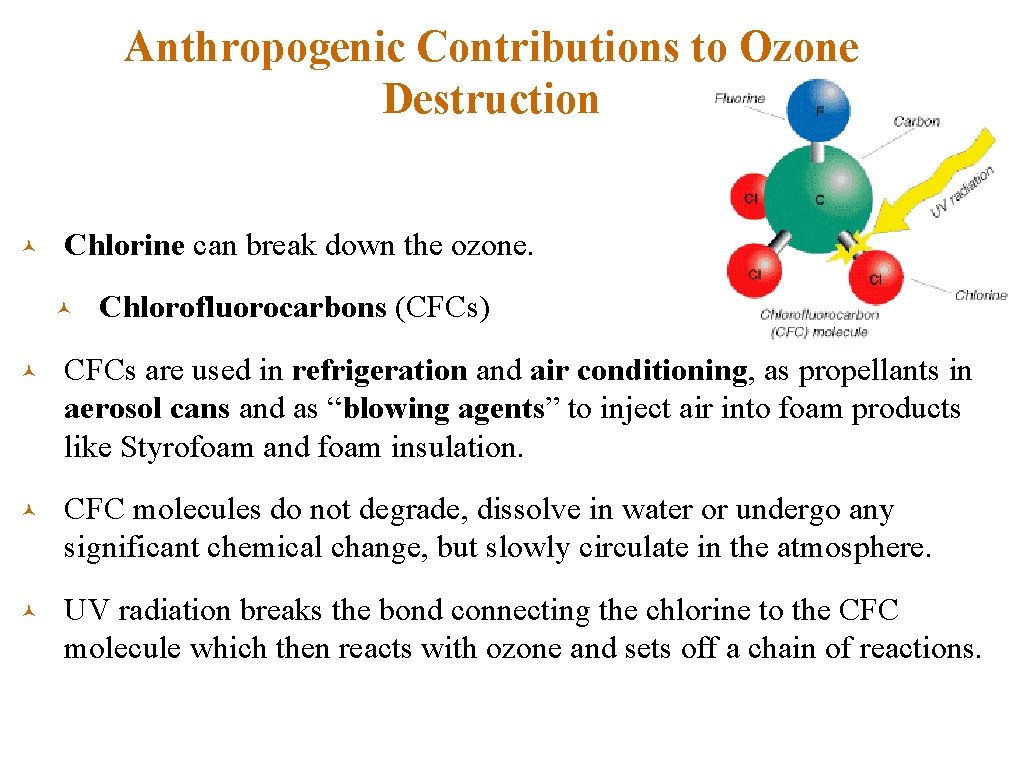 Anthropogenic Contributions to Ozone Destruction © Chlorine can break down the ozone. © Chlorofluorocarbons