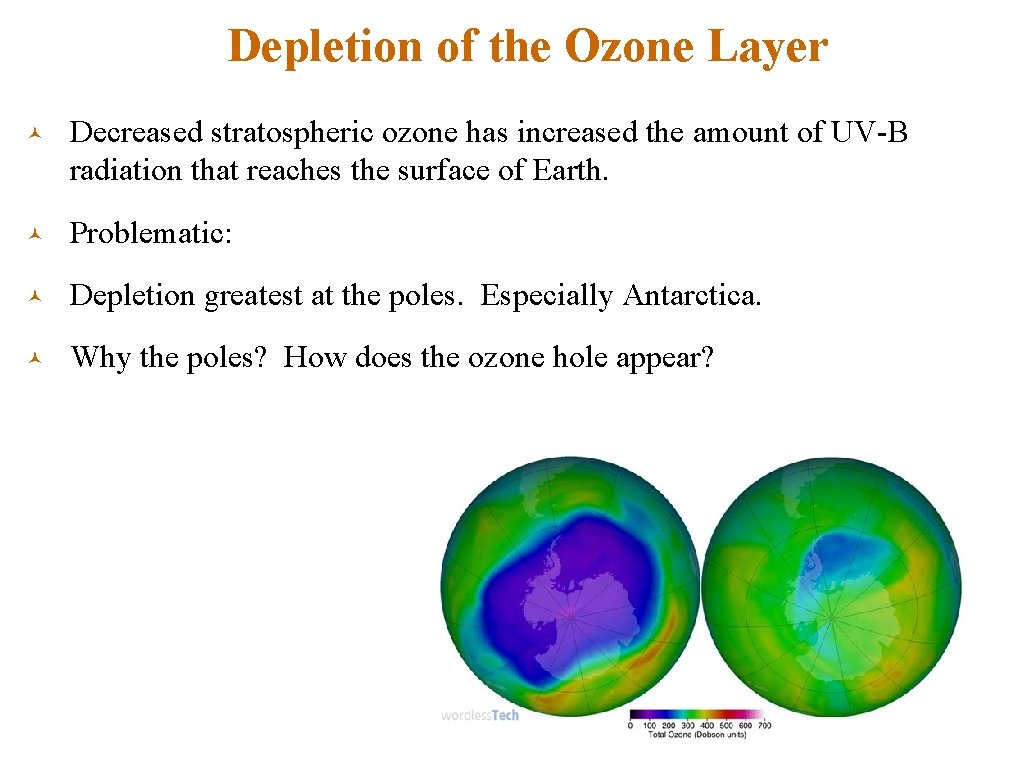 Depletion of the Ozone Layer © Decreased stratospheric ozone has increased the amount of