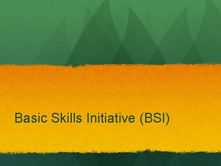 Basic Skills Initiative (BSI) 