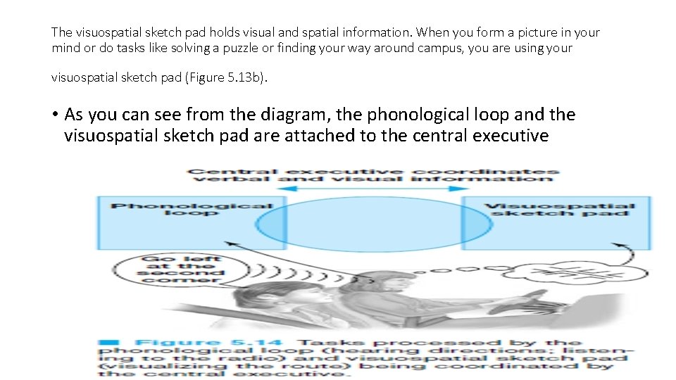 The visuospatial sketch pad holds visual and spatial information. When you form a picture