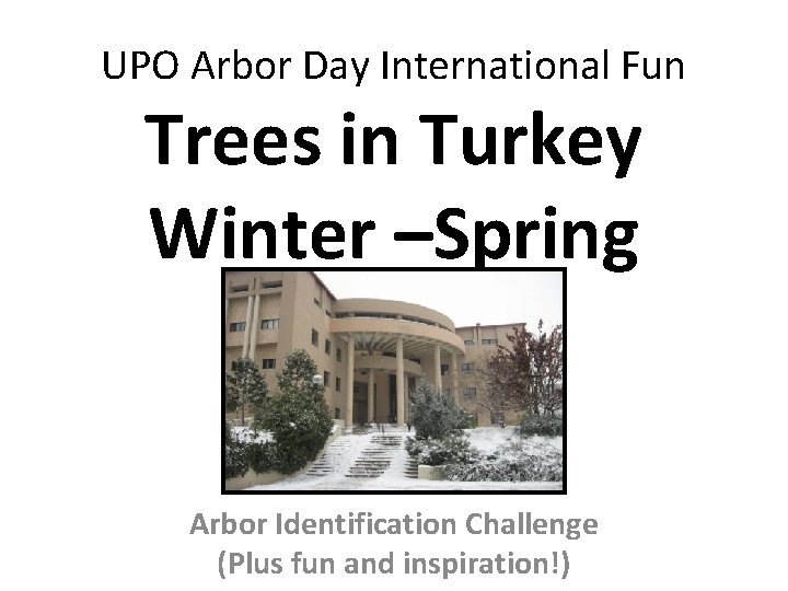 UPO Arbor Day International Fun Trees in Turkey Winter –Spring Arbor Identification Challenge (Plus