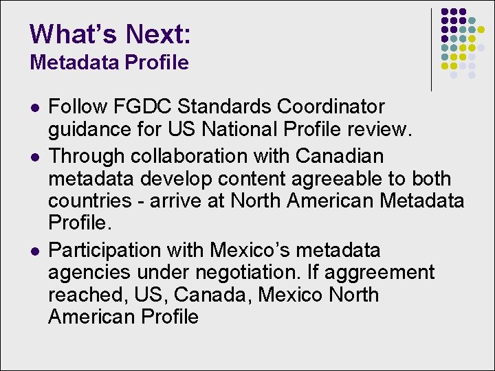 What’s Next: Metadata Profile l l l Follow FGDC Standards Coordinator guidance for US