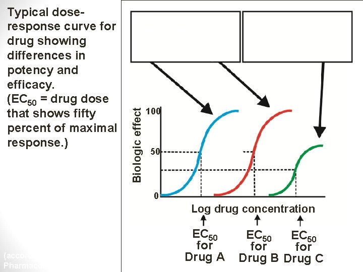 Drug A is more potent than Drug B, but both show the same efficacy.
