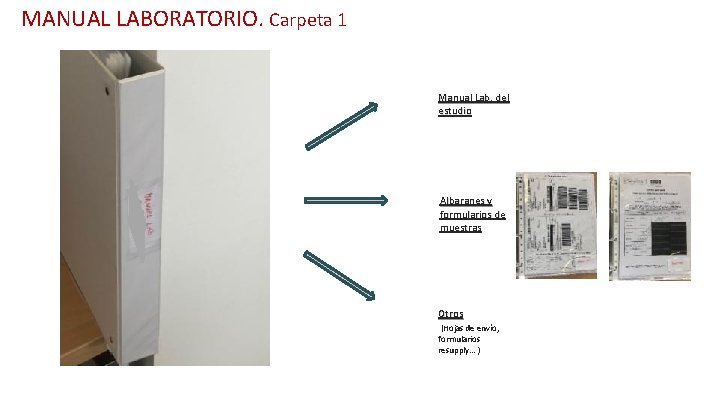 MANUAL LABORATORIO. Carpeta 1 Manual Lab. del estudio Albaranes y formularios de muestras Otros