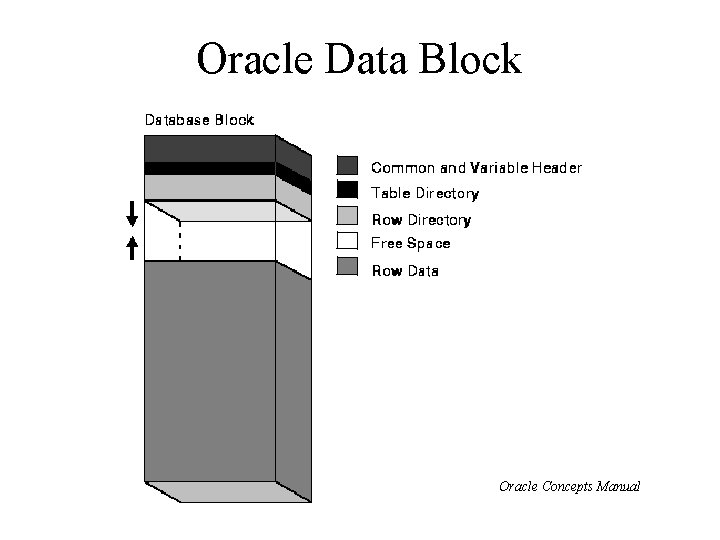 Oracle Data Block Oracle Concepts Manual 