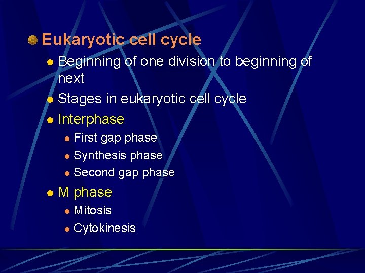 Eukaryotic cell cycle Beginning of one division to beginning of next l Stages in