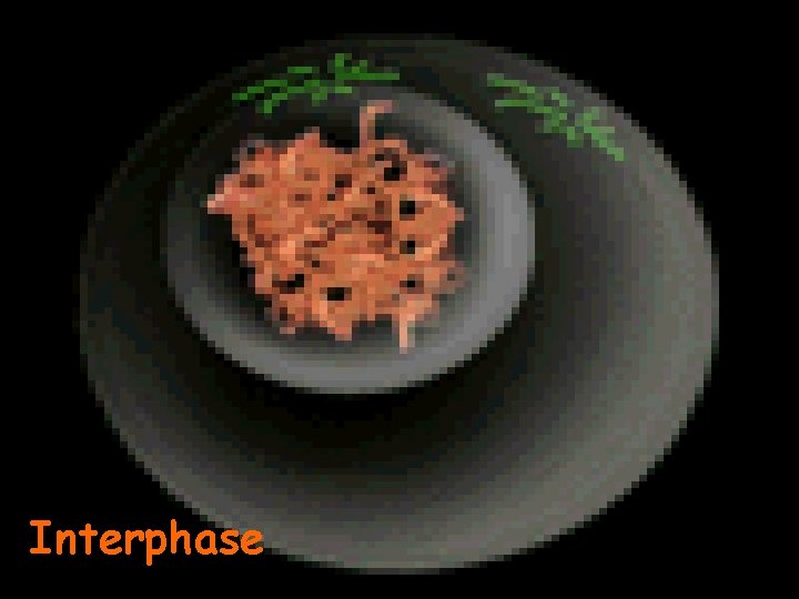 Interphase 