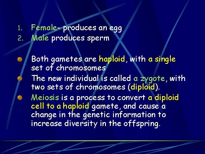 Female- produces an egg 2. Male produces sperm 1. Both gametes are haploid, with