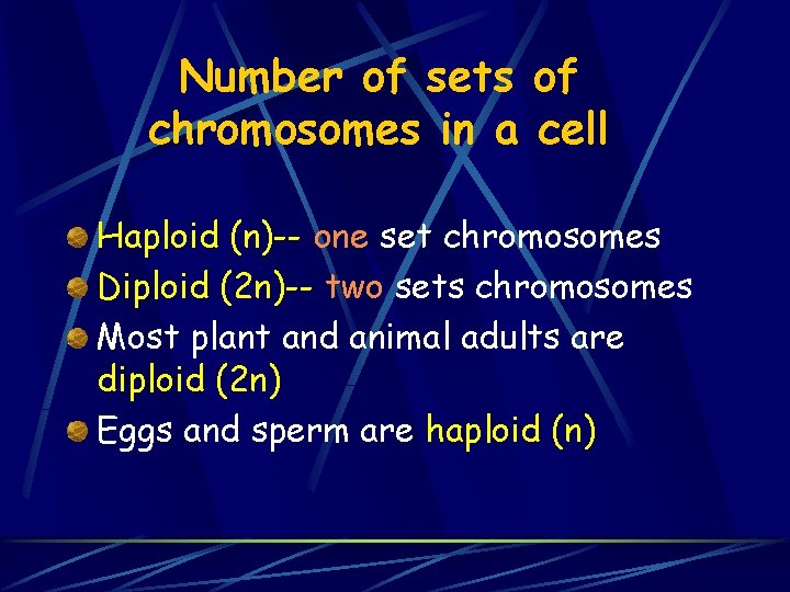 Number of sets of chromosomes in a cell Haploid (n)-- one set chromosomes Diploid