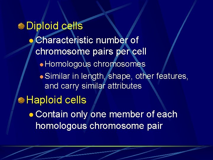 Diploid cells l Characteristic number of chromosome pairs per cell l Homologous chromosomes l