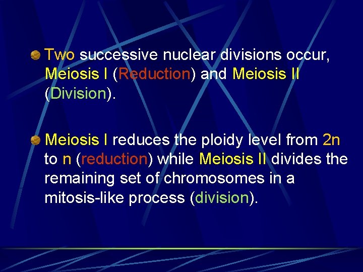 Two successive nuclear divisions occur, Meiosis I (Reduction) and Meiosis II (Division). Meiosis I