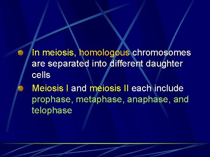 In meiosis, homologous chromosomes are separated into different daughter cells Meiosis I and meiosis