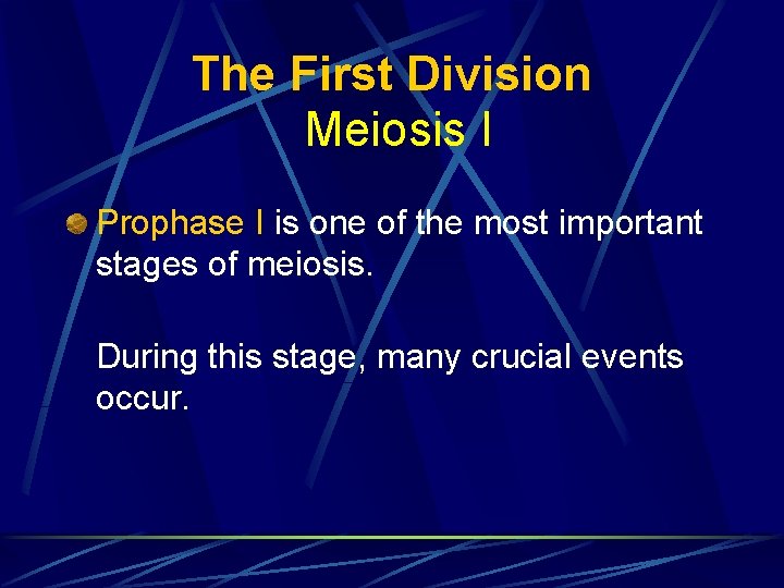 The First Division Meiosis I Prophase I is one of the most important stages