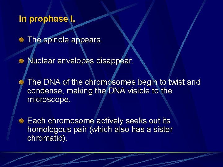 In prophase I, The spindle appears. Nuclear envelopes disappear. The DNA of the chromosomes