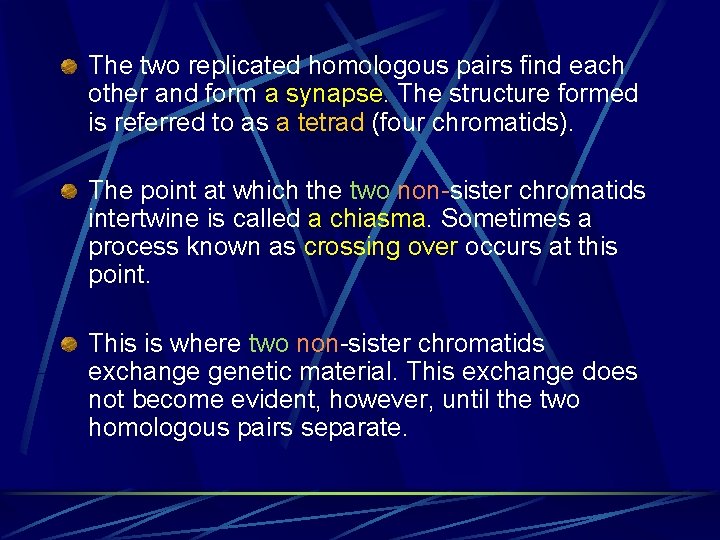 The two replicated homologous pairs find each other and form a synapse. The structure