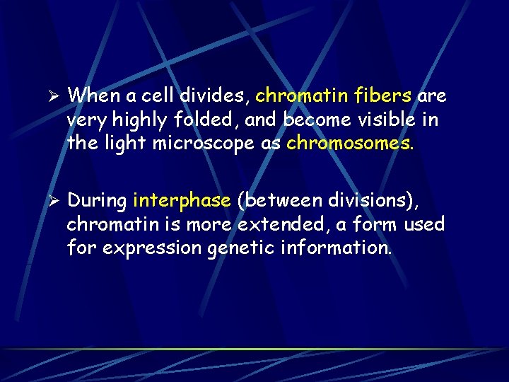 Ø When a cell divides, chromatin fibers are very highly folded, and become visible