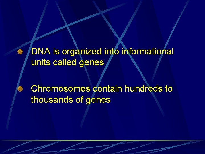 DNA is organized into informational units called genes Chromosomes contain hundreds to thousands of