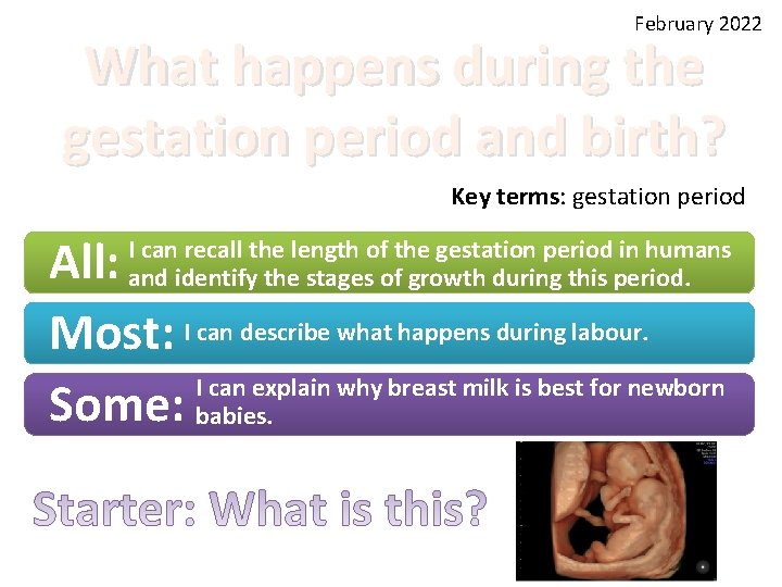 February 2022 What happens during the gestation period and birth? Key terms: gestation period