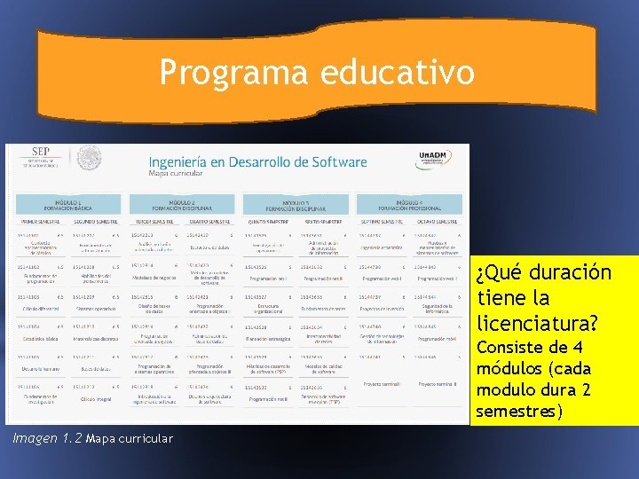 Programa educativo ¿Qué duración tiene la licenciatura? Consiste de 4 módulos (cada modulo dura