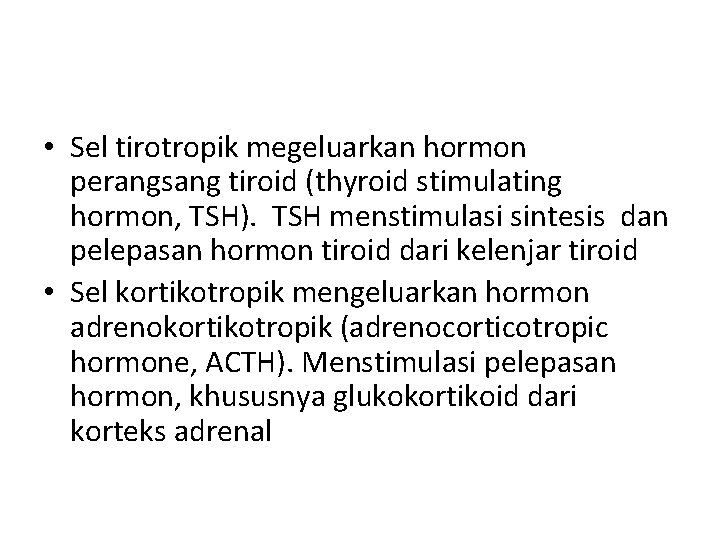  • Sel tirotropik megeluarkan hormon perangsang tiroid (thyroid stimulating hormon, TSH). TSH menstimulasi