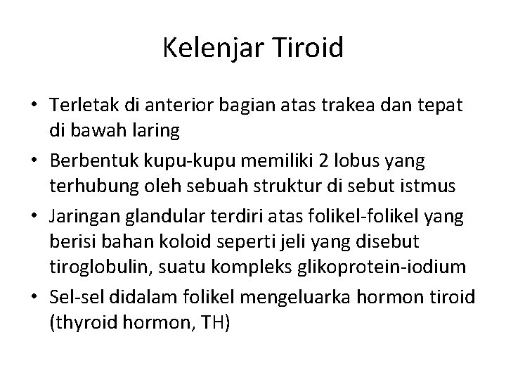 Kelenjar Tiroid • Terletak di anterior bagian atas trakea dan tepat di bawah laring