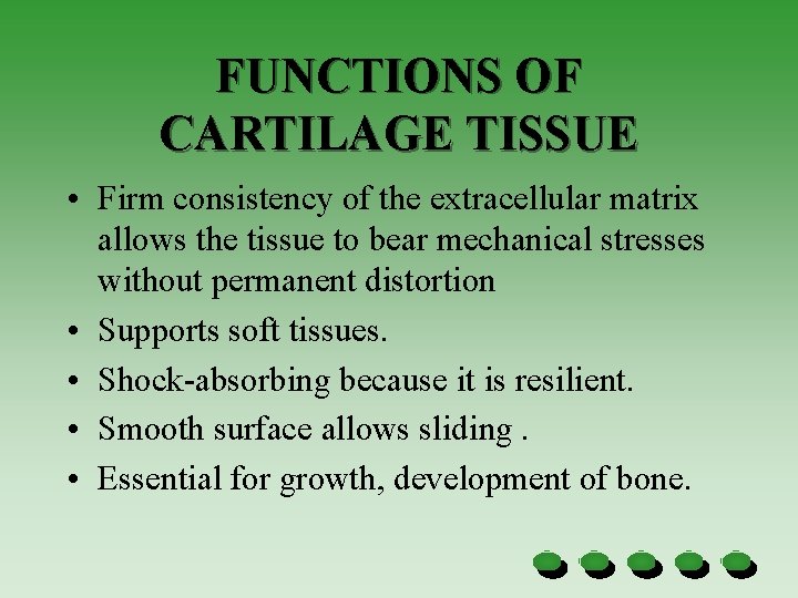 FUNCTIONS OF CARTILAGE TISSUE • Firm consistency of the extracellular matrix allows the tissue