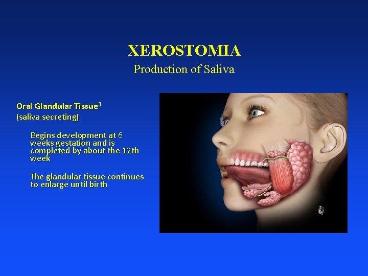 XEROSTOMIA Production of Saliva Oral Glandular Tissue 3 (saliva secreting) Begins development at 6