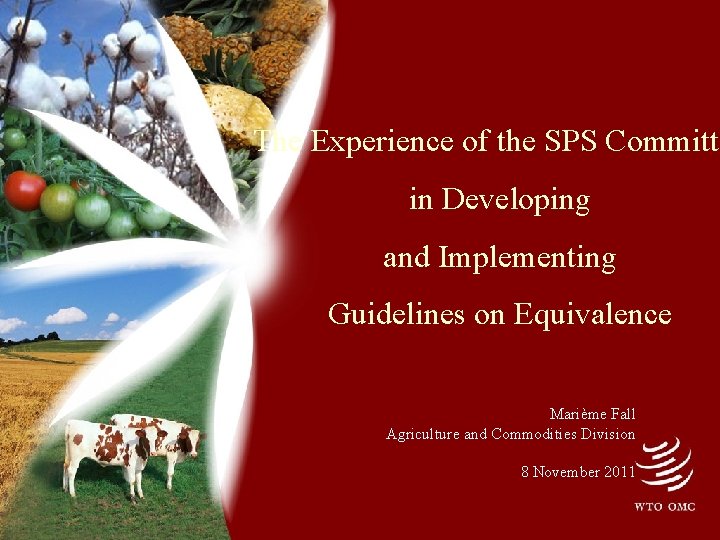 The Experience of the SPS Committe in Developing and Implementing Guidelines on Equivalence Marième
