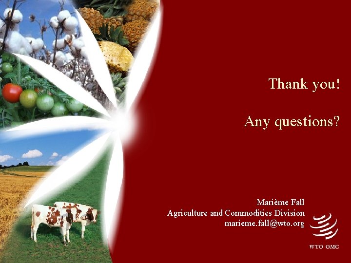 Thank you! Any questions? Marième Fall Agriculture and Commodities Division marieme. fall@wto. org 