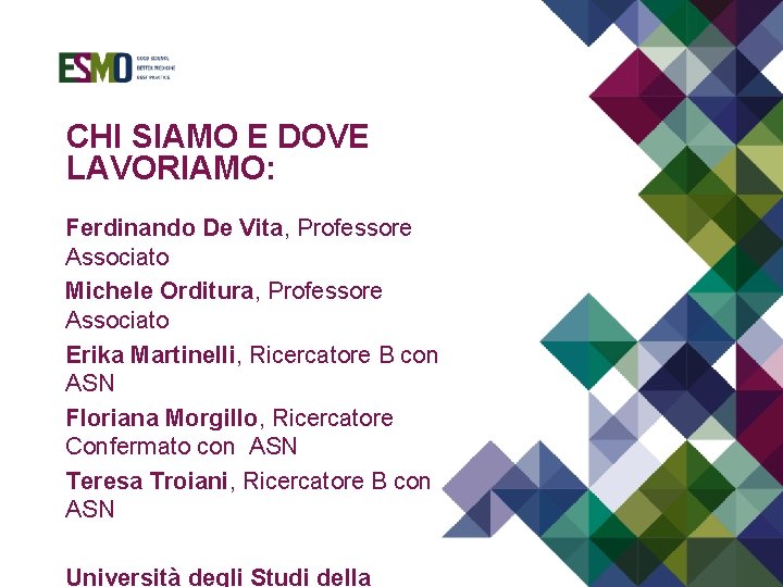 CHI SIAMO E DOVE LAVORIAMO: Ferdinando De Vita, Professore Associato Michele Orditura, Professore Associato