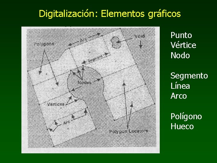 Digitalización: Elementos gráficos Punto Vértice Nodo Segmento Línea Arco Polígono Hueco 