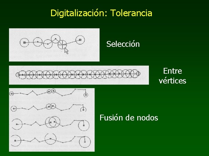 Digitalización: Tolerancia Selección Entre vértices Fusión de nodos 