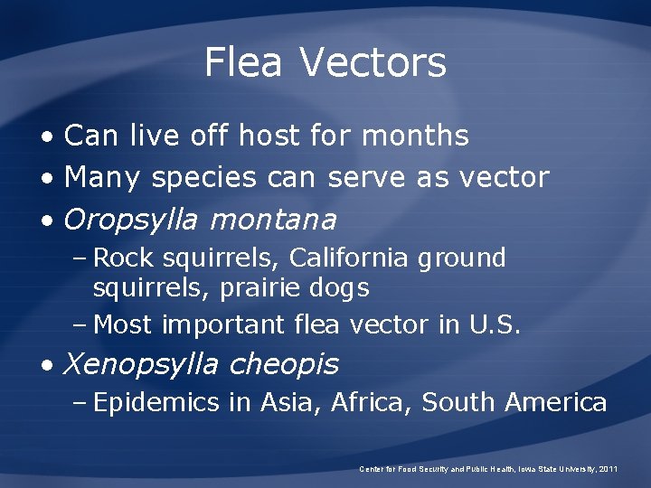 Flea Vectors • Can live off host for months • Many species can serve