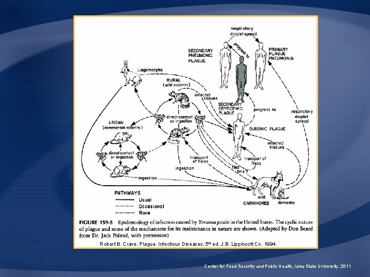 Robert B. Crave. Plague. Infectious Diseases, 5 th ed. J. B. Lippincott Co. 1994.