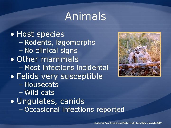 Animals • Host species – Rodents, lagomorphs – No clinical signs • Other mammals