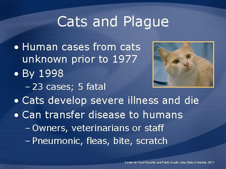 Cats and Plague • Human cases from cats unknown prior to 1977 • By