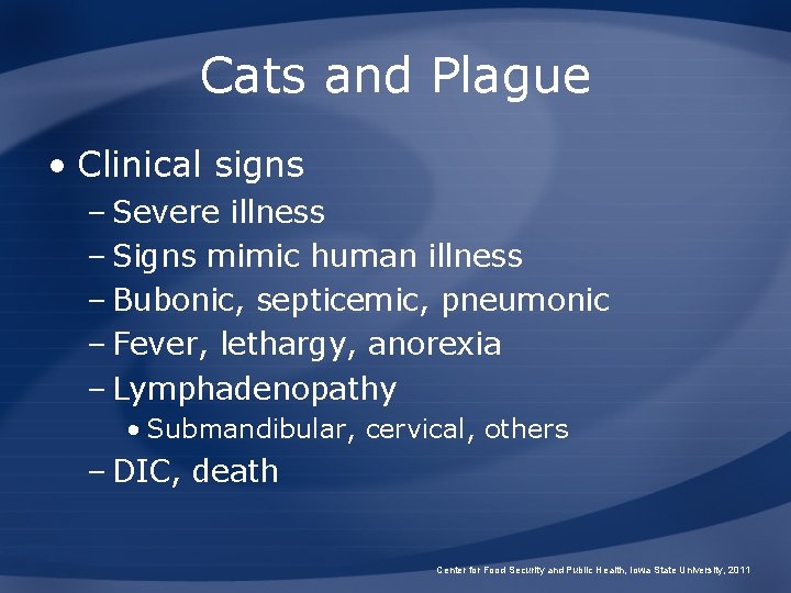 Cats and Plague • Clinical signs – Severe illness – Signs mimic human illness